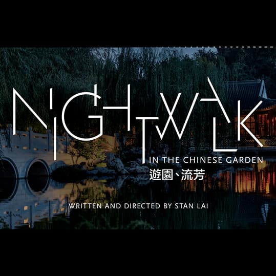 Nightwalk in the Chinese Garden