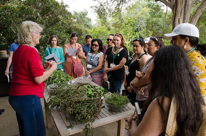 A group of teachers and a garden docent in the Herb Garden