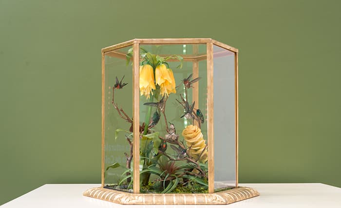 Taxidermist Allis Markham chose this lush, tropical flora based on an article that the novelist Charles Dickens wrote after seeing the original 1851 hummingbird cases.