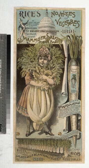 Rice’s novelties in vegetables for 1891
