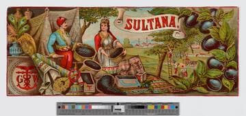 Sultana