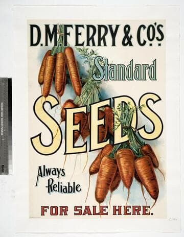 D. M. Ferry & Co.'s. standard seeds always reliable for sale here