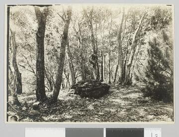 Jack London Ranch, Jack London's grave site