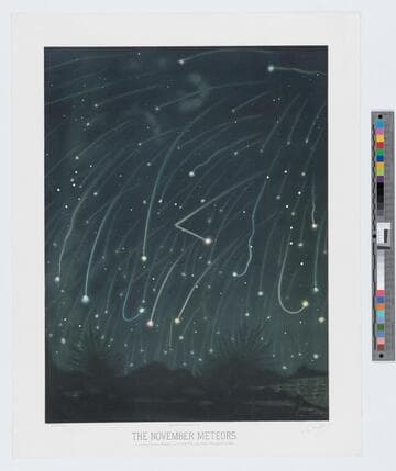 The November meteors