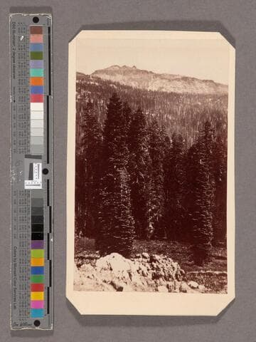 Castle Peak from Lava Bluff. 11,000 feet above sea