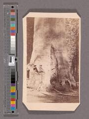 Go to image 1.