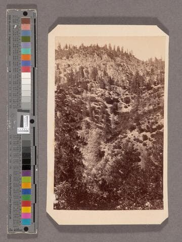 Cape Horn, from Ravine below