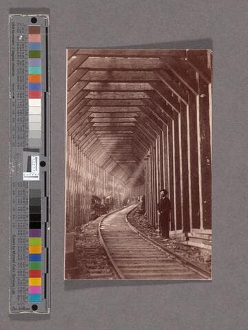 Snow Gallery around Crested Peak. Timbers 12x14 in., 20 in. apart