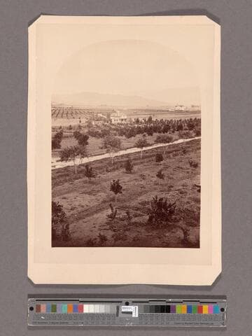 View from Lake Vineyard house, Pasadena