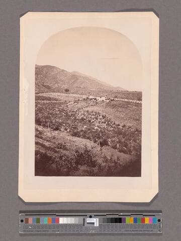 Apiary at Sierra Madre Villa, San Gabriel