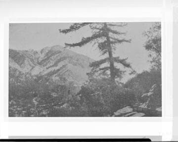 View of Mill Creek Canyon