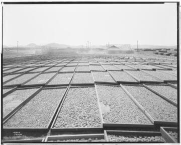 L1.8 - Lighting, Packing Plants - Apricot Drying