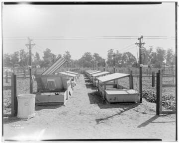 P2 - Poultry - Electric Brooders