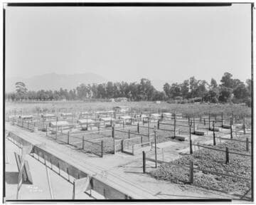 P2 - Poultry - Electric Brooders