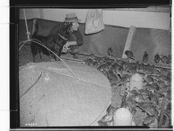 Mr. Howle - Hidden Valley