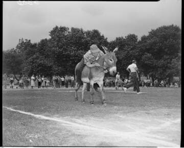 Man riding a donkey at a picnic