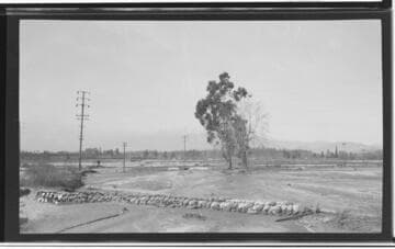 A1.4 - Natural Disasters