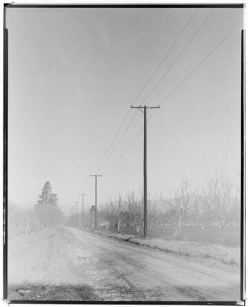 Distribution Lines - 11 kVA lines and services