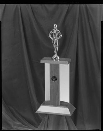 All-Electric Building Award - Trophy