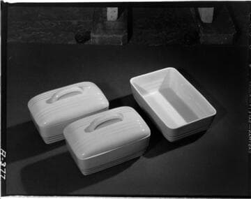 Westinghouse deluxe roaster