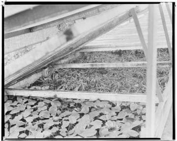 N1 - Nurseries & Soil Heating - Heaters in Wilcox Nursery