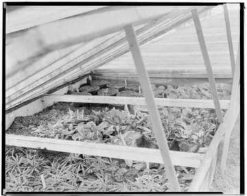 N1 - Nurseries & Soil Heating - Heaters in Wilcox Nursery