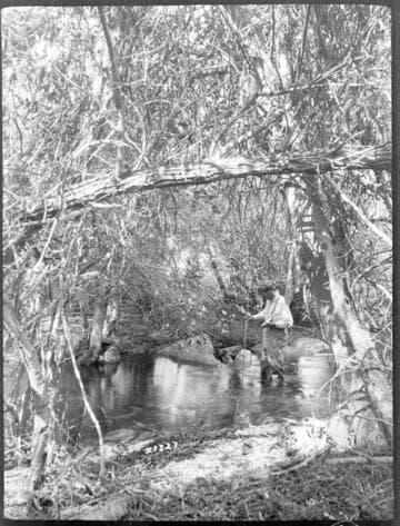 Kern River Miscellaneous