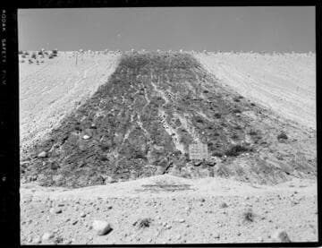 Big Creek - Vermilion Dam - #8 Forest Duff with native planting control strip
