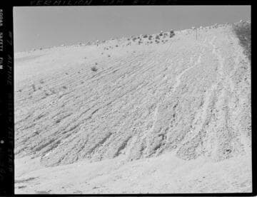 Big Creek - Vermilion Dam - #7 Alpine Willow test strip