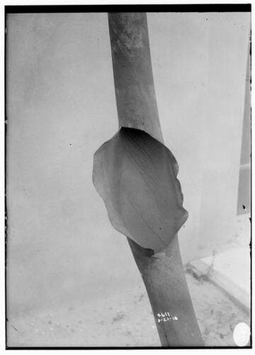 Long Beach Steam Station, Plant #1