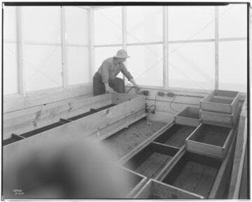 N1 - Nurseries & Soil Heating - Nursery