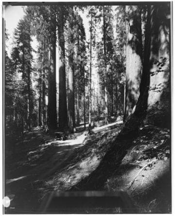 S1.2 Scenery, Mountains