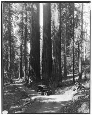 S1.2 Scenery, Mountains