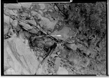 Big Creek Powerhouse #8