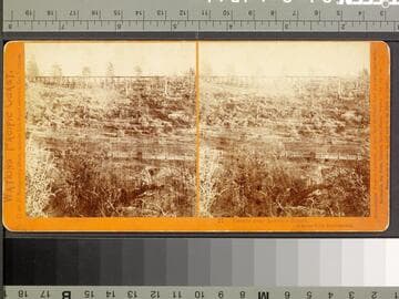 27. Trestle near Lovell's Ranch, 40 miles from Sacramento