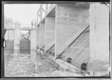 Borel : Fish screen and waste