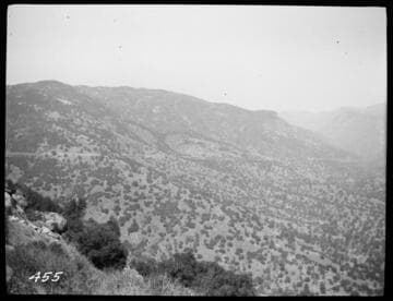 Distant view of the conduit for Tule Plant