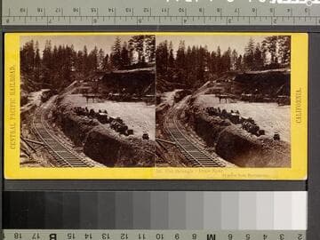 53. Cut through "Dixie Spur."