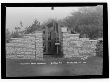 Prehistoric animal graveyard, La Brea Pits, Hollywood, Cal. [i.e. Los Angeles]