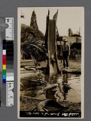 Alligator Farm, Los Angeles