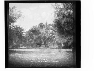 In the orange groves, Stockton place, San Gabriel, Calif