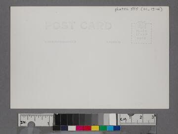 Palisades Park and Beach, Santa Monica, Calif