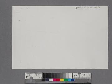 View from Palisades above beach, looking down to beach at Santa Monica