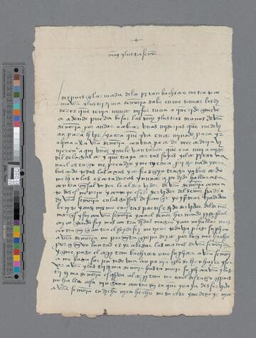Alonso Núñez de San Pedro letter to Gonzalo Pizarro
