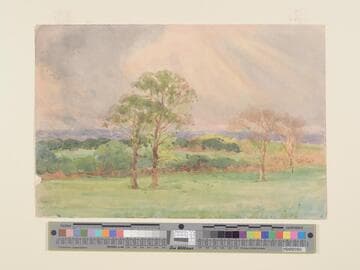 View Across Hedgerows and Fields