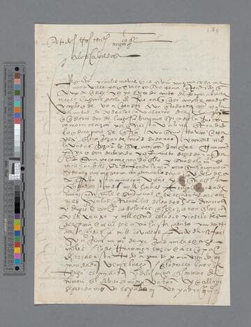 Gonzalo Pizarro draft of document to Tenientos y Cabildos: Instructions