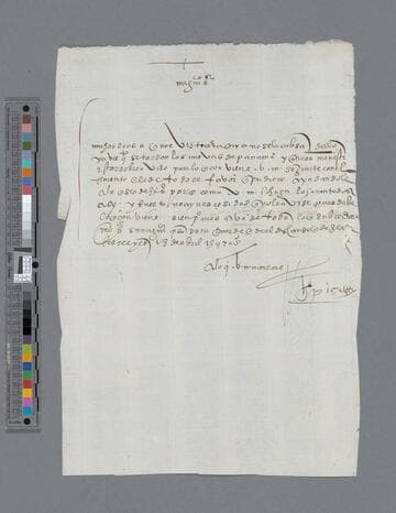 Gonzalo Pizarro letter to Diego Palomino