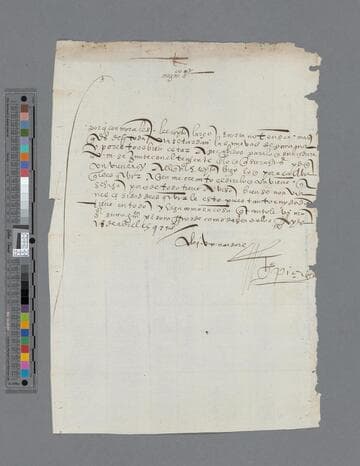 Gonzalo Pizarro letter to Rodrigo de Orellana