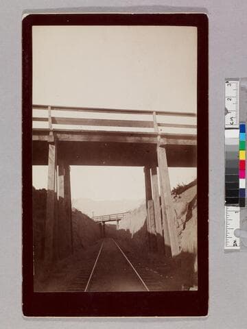 LA & San Gabriel Valley RR crossing Columbia St., Pasadena, 1885