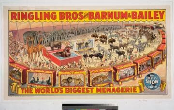 Ringling Bros and Barnum & Bailey : the world's biggest menagerie